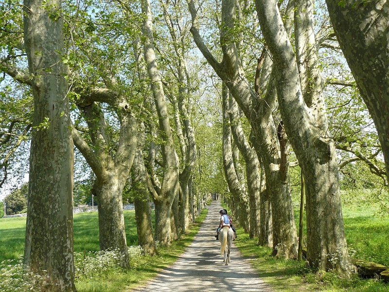 2008 05 Séjour à Martel 27